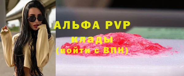 СК Бронницы