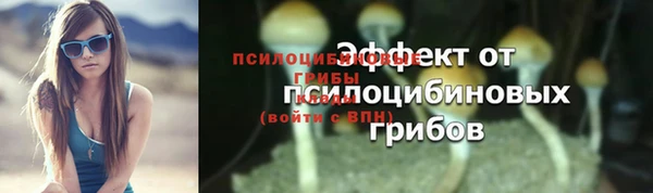 СК Бронницы