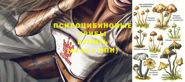 дурь Бугульма