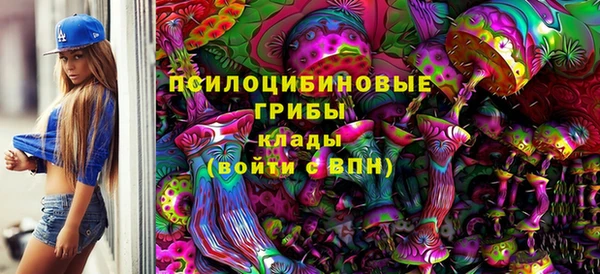 jwh Бородино