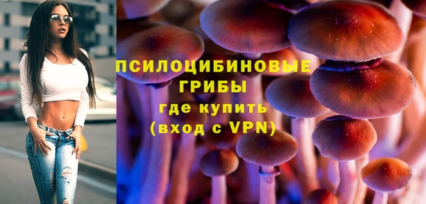 jwh Бородино