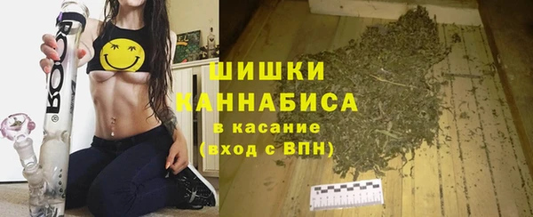 СК Бронницы