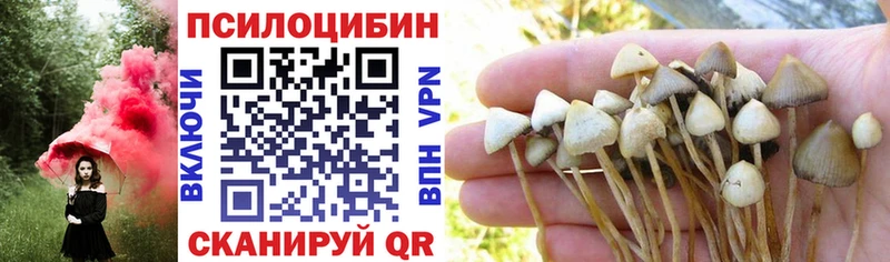 Галлюциногенные грибы GOLDEN TEACHER  Чехов 